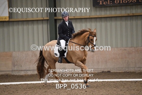 BPP_0536 - 15 - D JONES