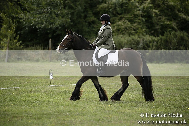 BVR080918 91 - BVRC Novice Dressage & CR 08/09/18