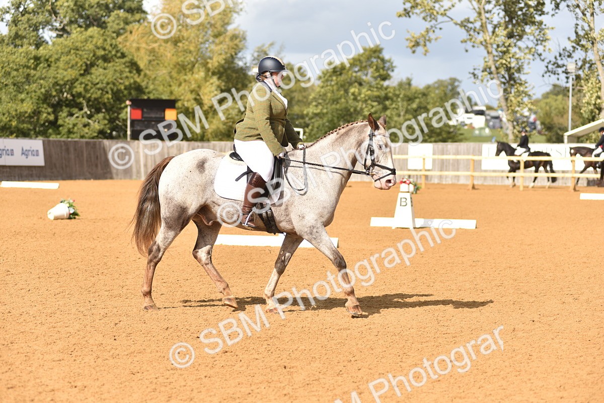 SBM_10042 - D15 - Small Tour Championship Novice 1