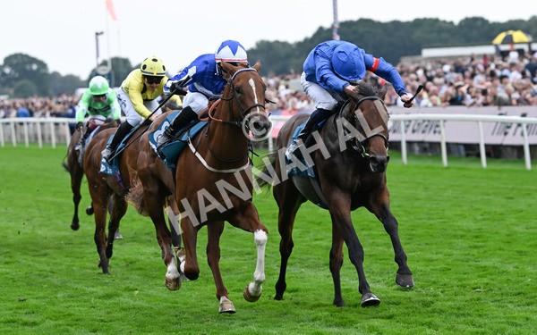 230825-254 Revival Power - Race 6 4.45pm Julia Graves Roses Stakes