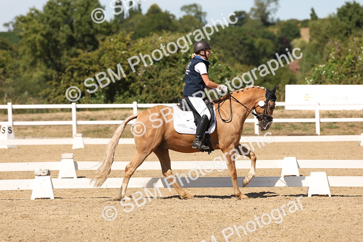 SBM_003672 - Elementary 4