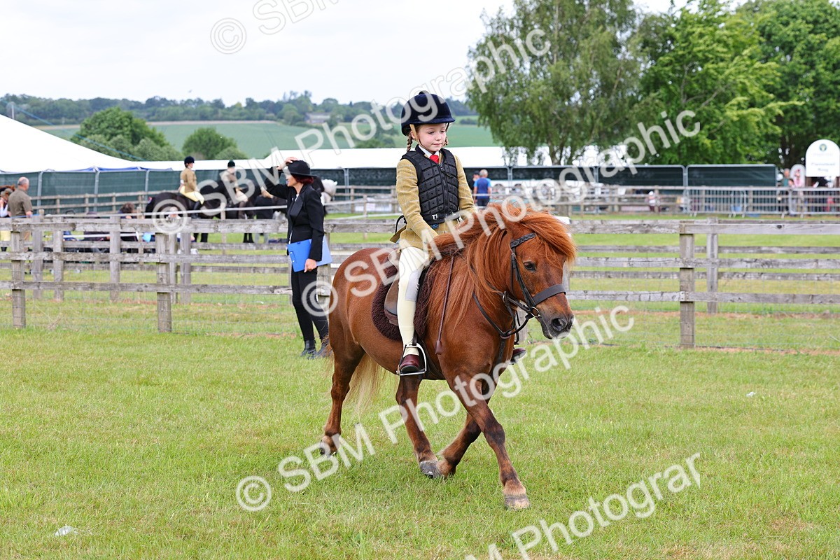 SBM_08569 - Class 42-43 - LIHS BSPS Heritage Working Sports Pony