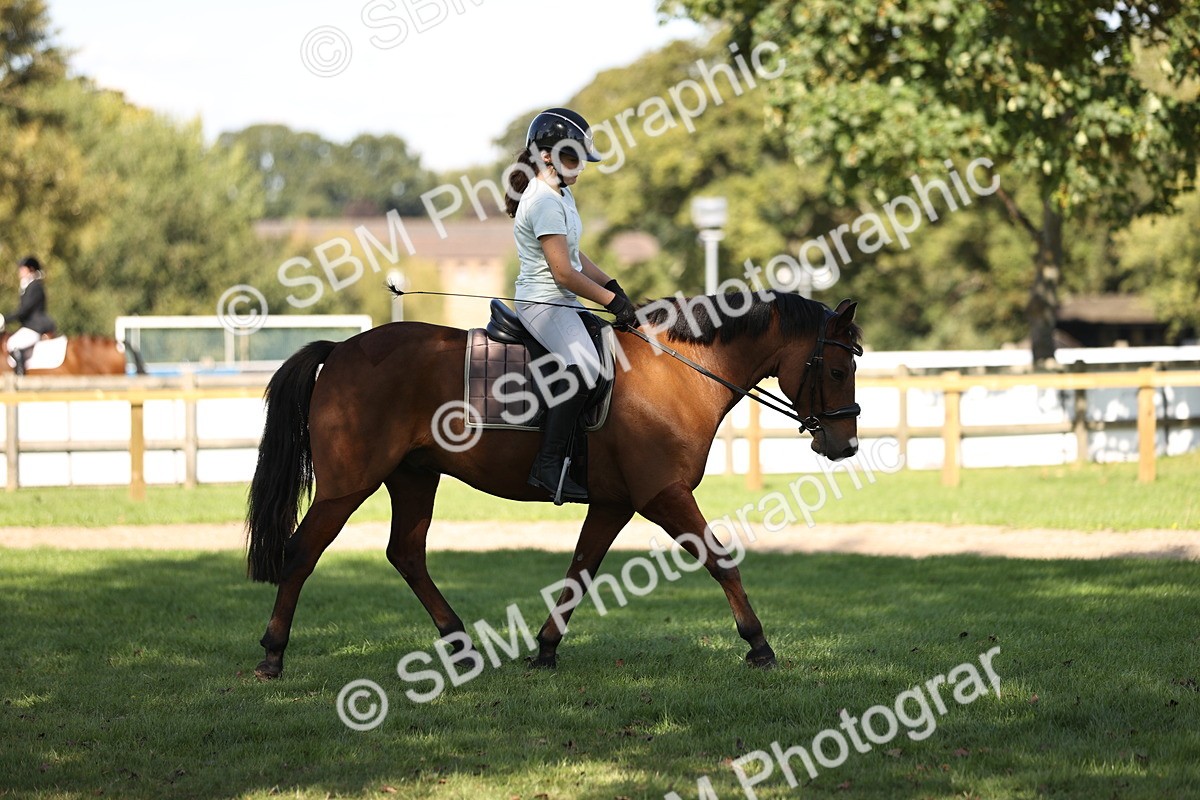 SBM_23075 - S4 - Have a Go at Working Equitation