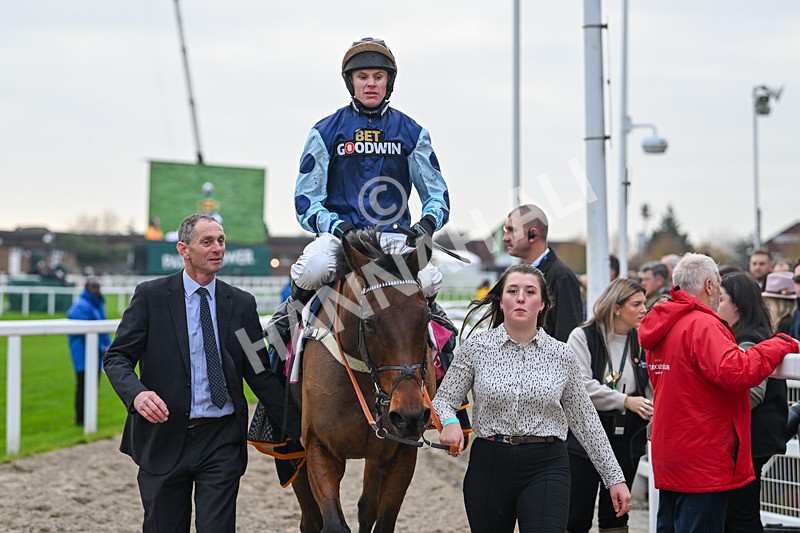 151124-Race 3-Edwardstone-7794 - Race 3