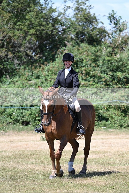 WJ7_2986 - Class 7 Riding Club Show Horse