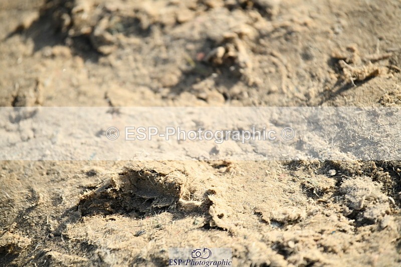 251004A-163616-02132 - Classes 10 & 11 80cm