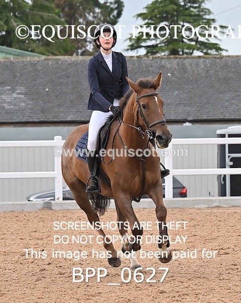 BPP_0627 - CLASS 28 SUN Nupafeeds Senior Dicovery/1m open