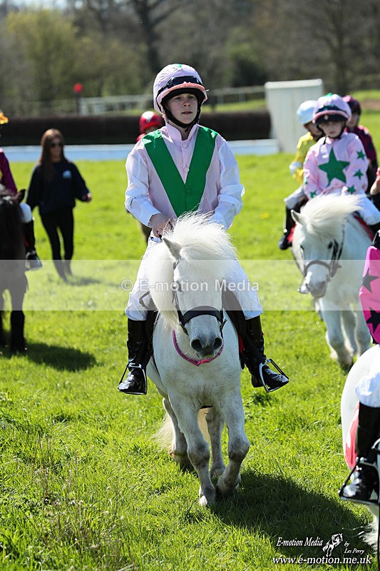 Shet 060426 221 - Shetland Pony Racing Paxford Races Easter Mon 06/04/26