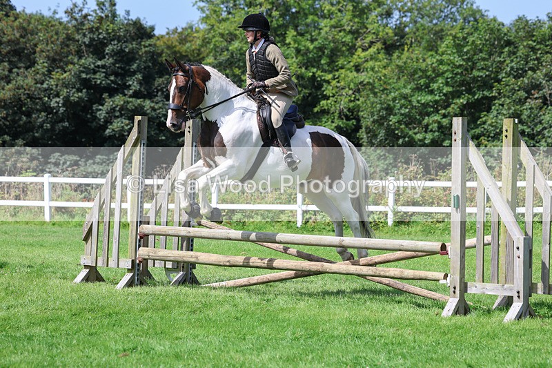 3E7A8599 - Class 5: Working Show Horse