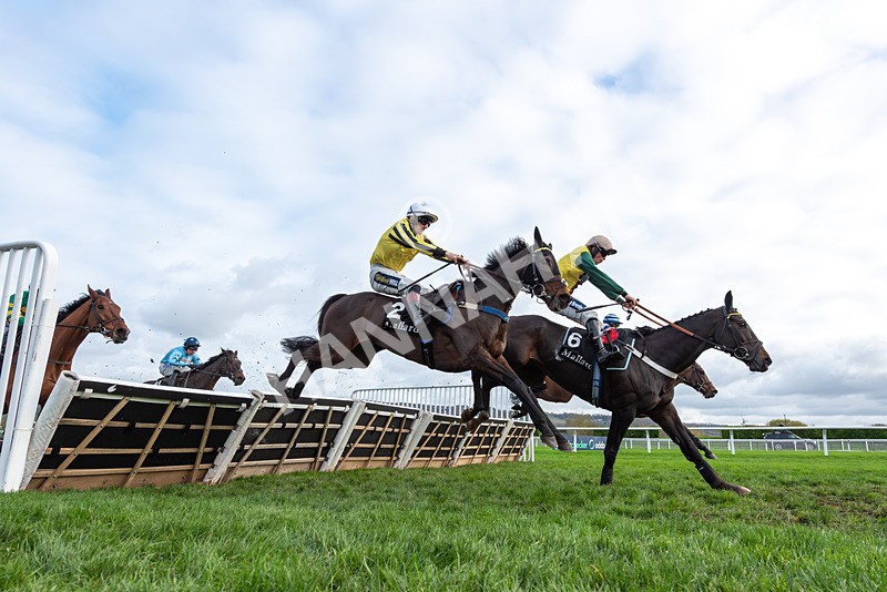 161125-Race 1-Gaelic Pride-2923 - Race 1