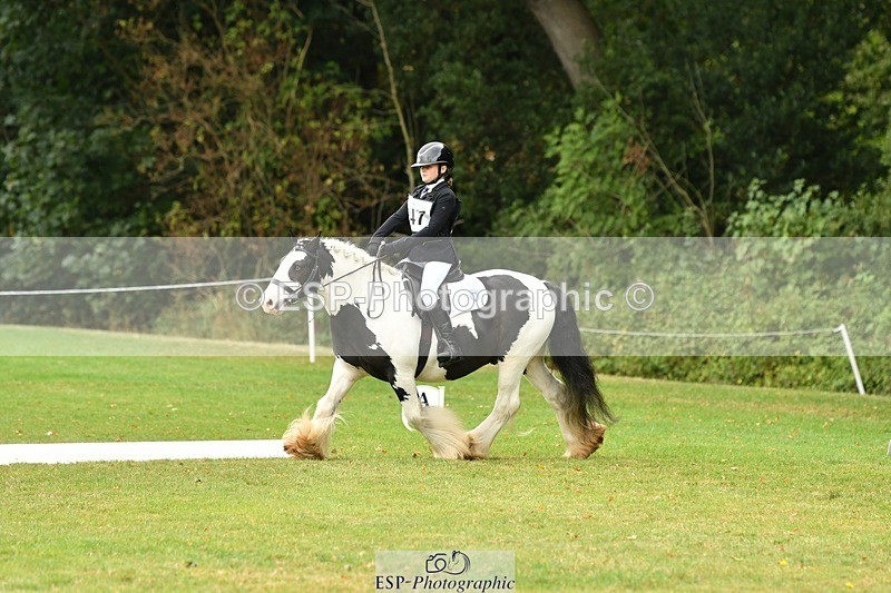 250820A-122710-05603 - 12 to 13.00