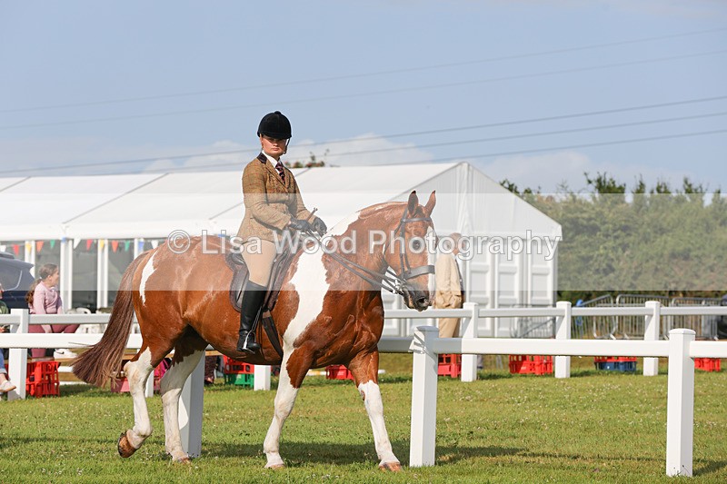 1X9A3112 - Class 27:  Ridden Native/Trad Coloured Horse