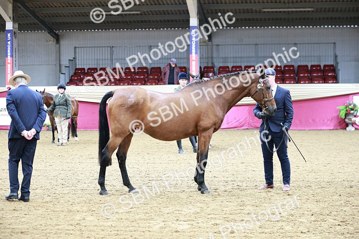 SBM_00245 - Class 1A - Area IH Diamond