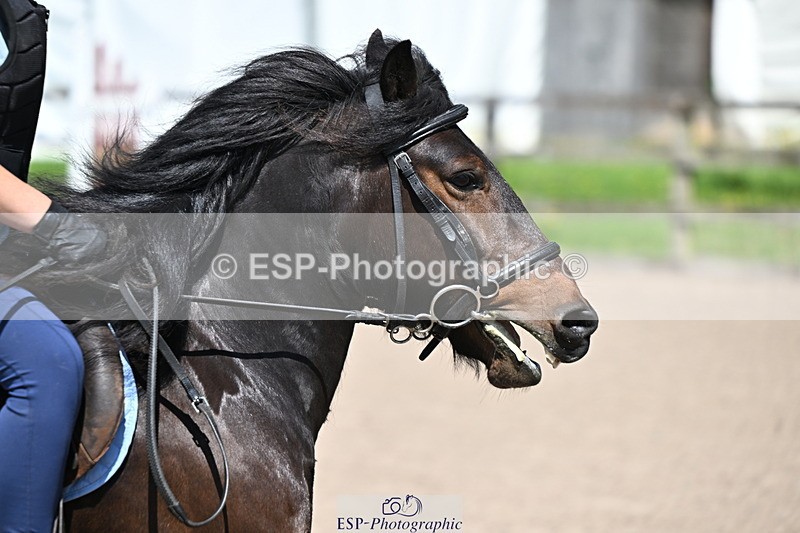 240729B-114437-02525 - Showjumping Competition