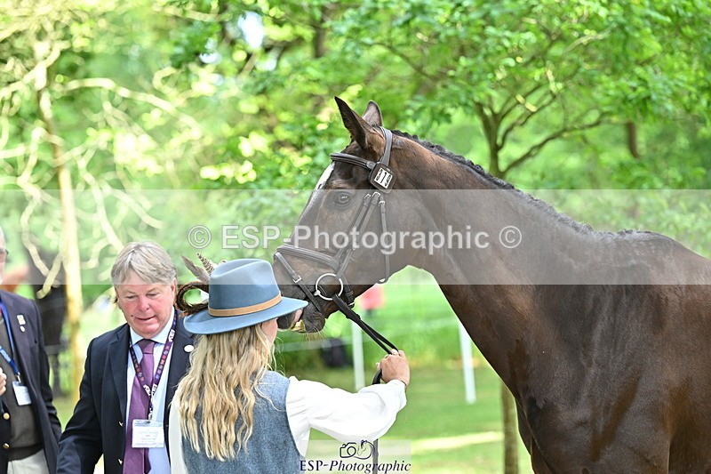 250521A-152133-00449 - B-379-Kelli.Frewin-HIDDEN.GOLD