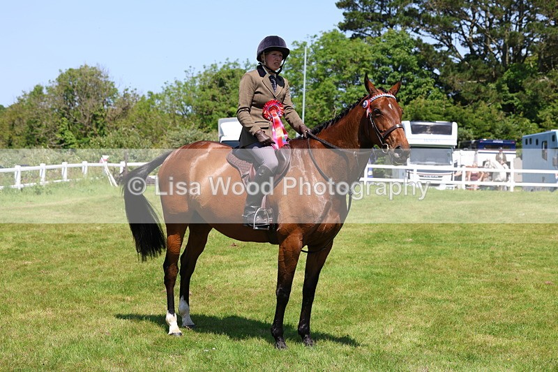 3E7A7553 - Class 31: Working Hunter Cob/Riding Horse