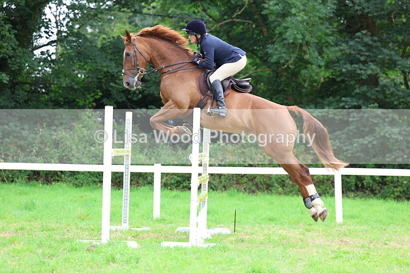 3E7A8591 - Class 8: Senior Foxhunter/1.20m open