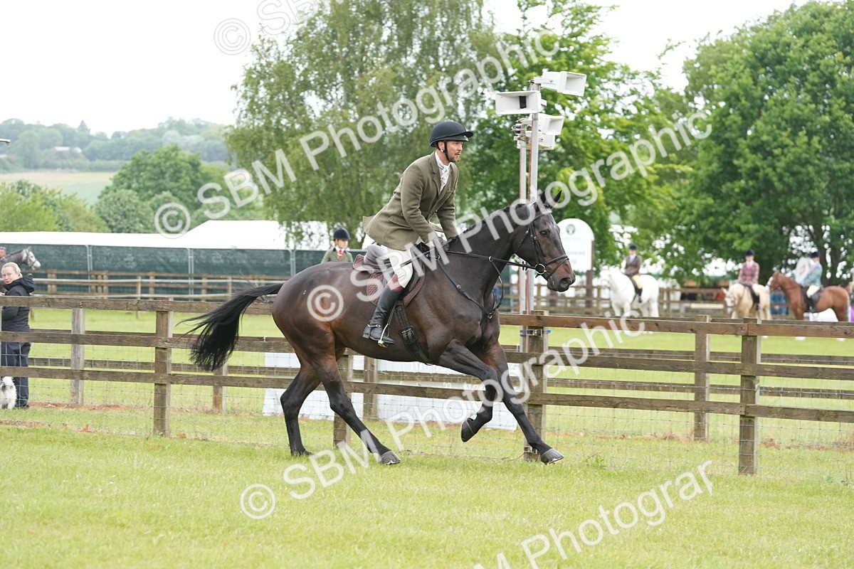 SBM_12697 - Class 97-98 - LIHS BSHA Rising Star Working Show Horse Hunter