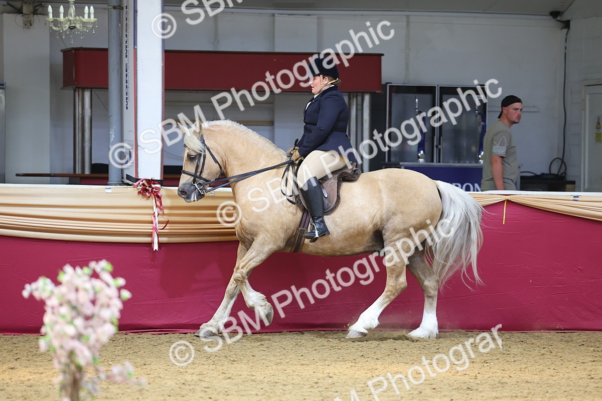 SBM_23955 - Class 905 - Supreme Final - Ridden Veteran