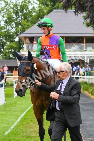 170623-Race 4-Quinault-0657 - Race 4 3.40pm Oakmere Homes Supporting Macmillan Sprint Handicap