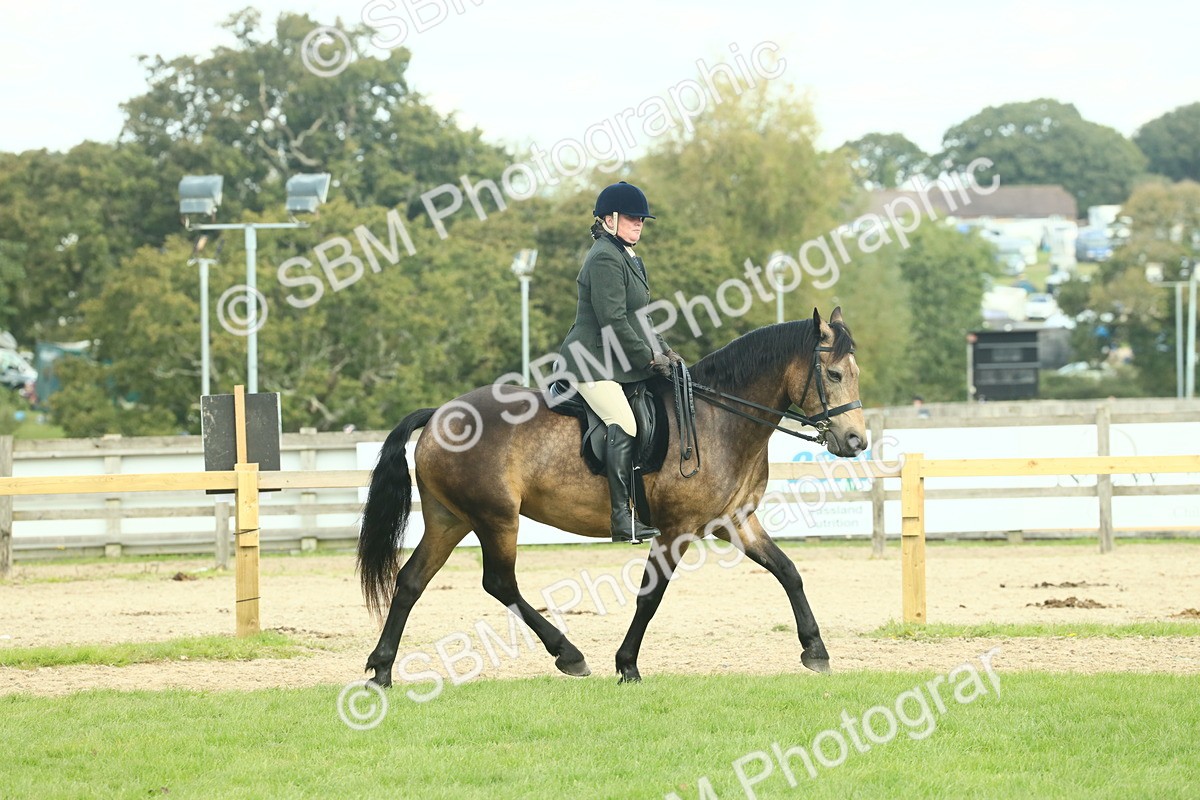 SBM_62627 - S63 - Other Coloured Horse Ridden