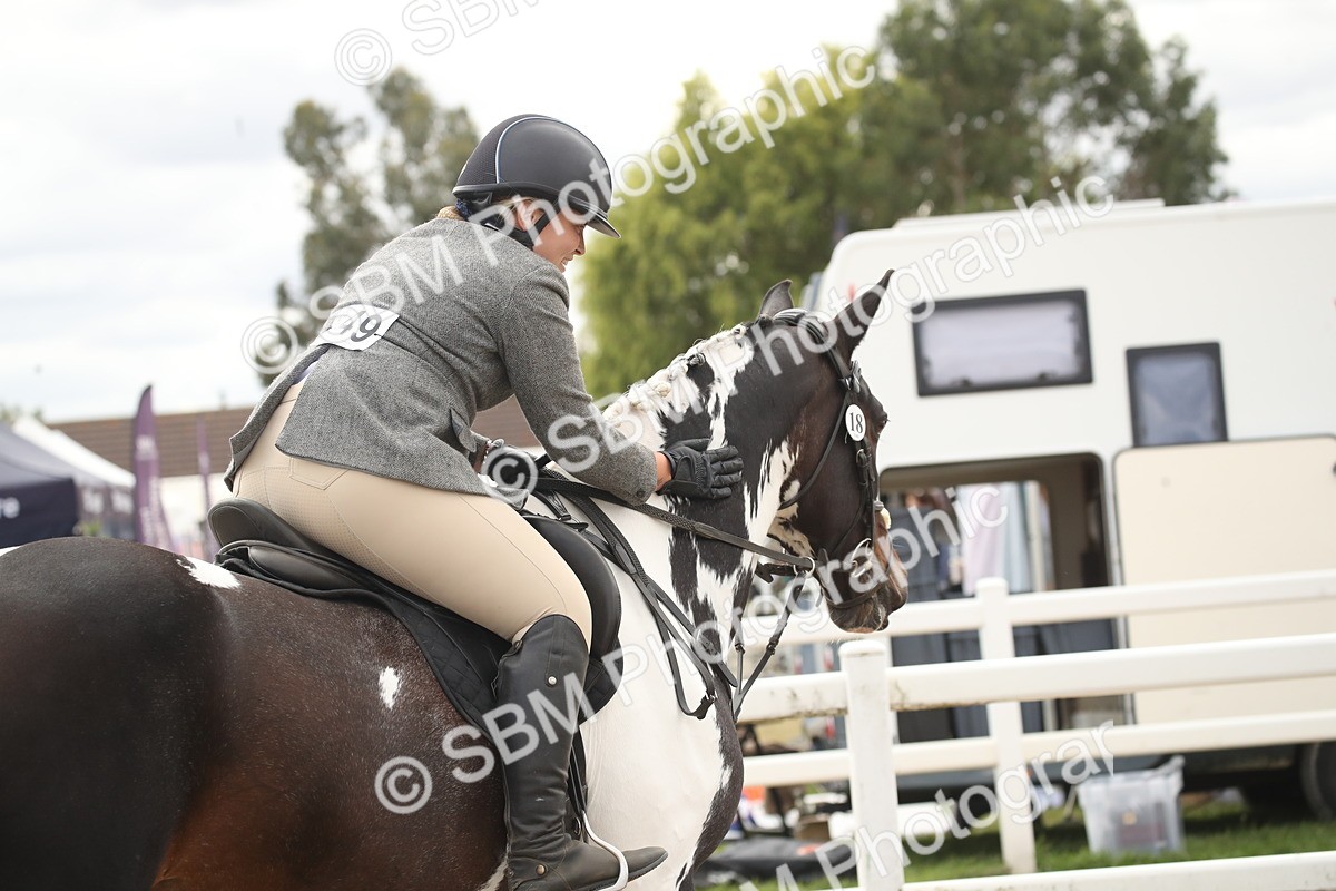 SBM_16630 - Class 507a - Working Veteran - 60cm (15-19)