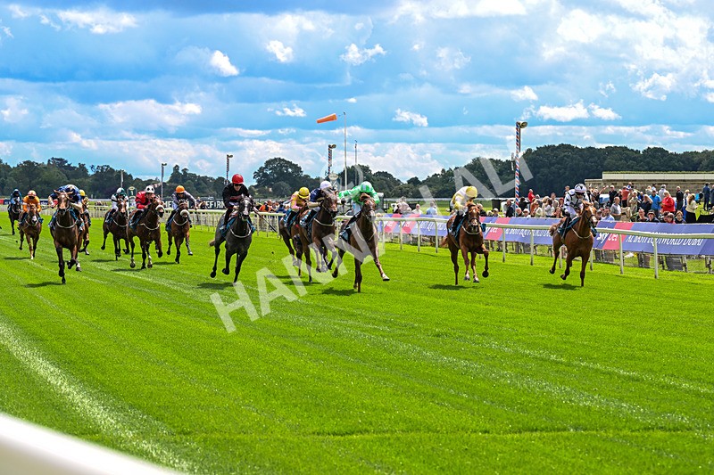 120626-Race 2-Everatease-0102 - Race 2 14.25pm Constant Security Keeping York Racegoers Safe Rous Selling Stakes