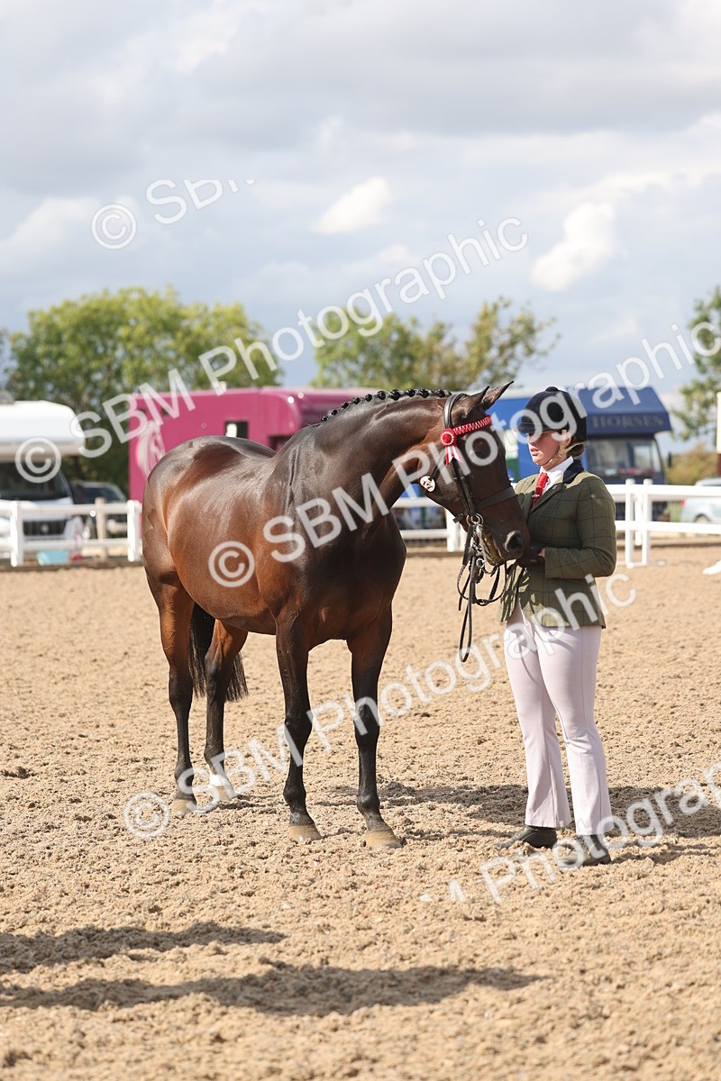 SBM_06865 - Class 25 - IH Foreign Breeds - Purebred