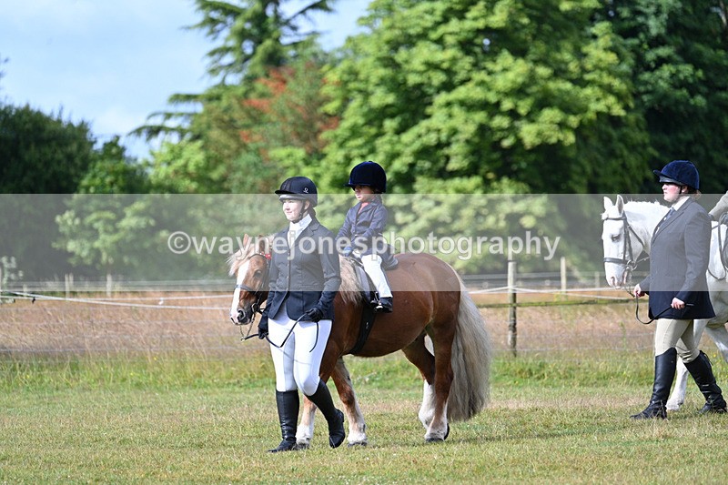 WJ7_4261 - Class 1 Lead Rein Pony