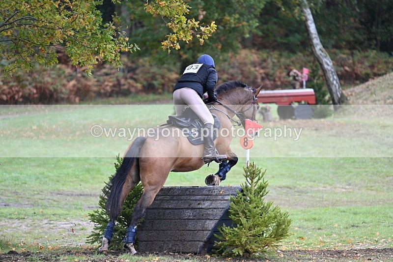 WJ7_5368 - Time 13:00 to 13:18