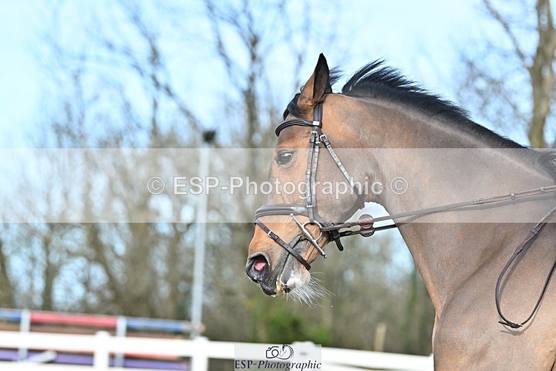 250125-122205-00420 - Dressage - CT Class 5 BE95 (90cm)