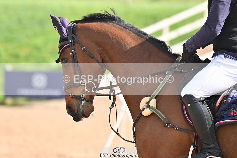 240406A-105731-02700 - Cls 14 Newcomers