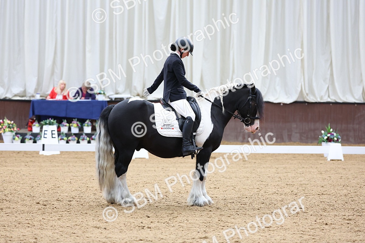 SBM_015985 - Class 15 - Novice FSM - 9.50 - 11.10