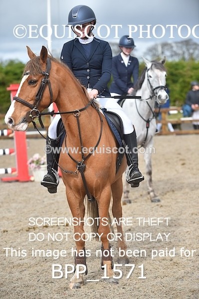 BPP_1571 - CLASS 7 Pony Discovery / 90cm Open