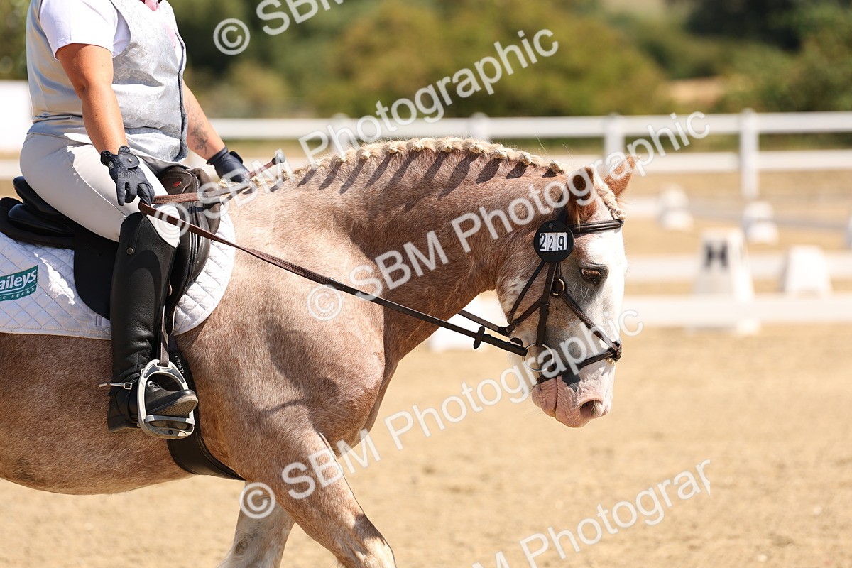 SBM_001279 - Intro 2