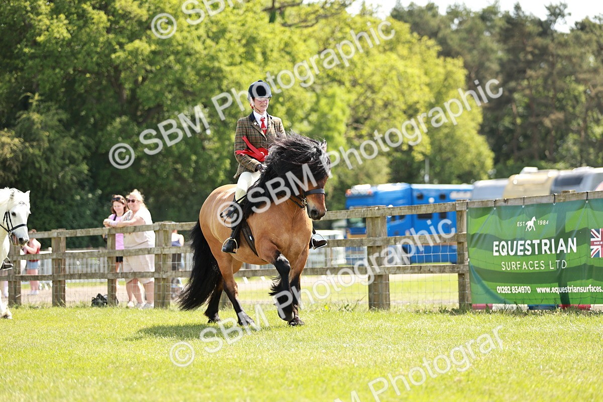 SBM_07222 - Class 26-30 - Mountain and Moorland Ridden