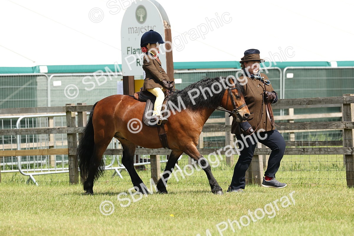 SBM_05177 - Class 24-25 - Mountain & Moorland In Hand Lead Rein and First Ridden