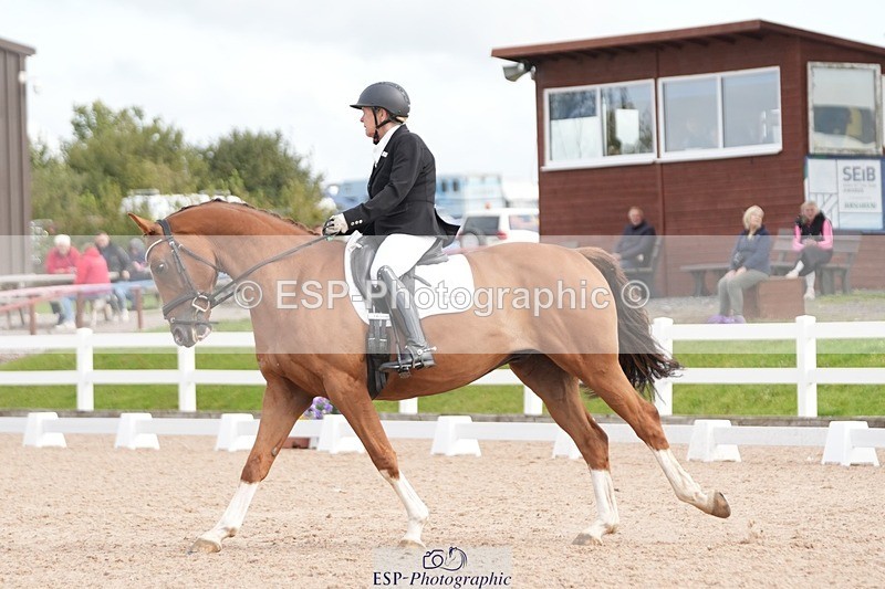 250906-112345-01611 - 007-Karen.DanceHevans.Sign.of.the.Times