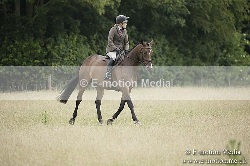 B230619-0411 - Bourne Valley Riding Club Summer Show 23/06/19