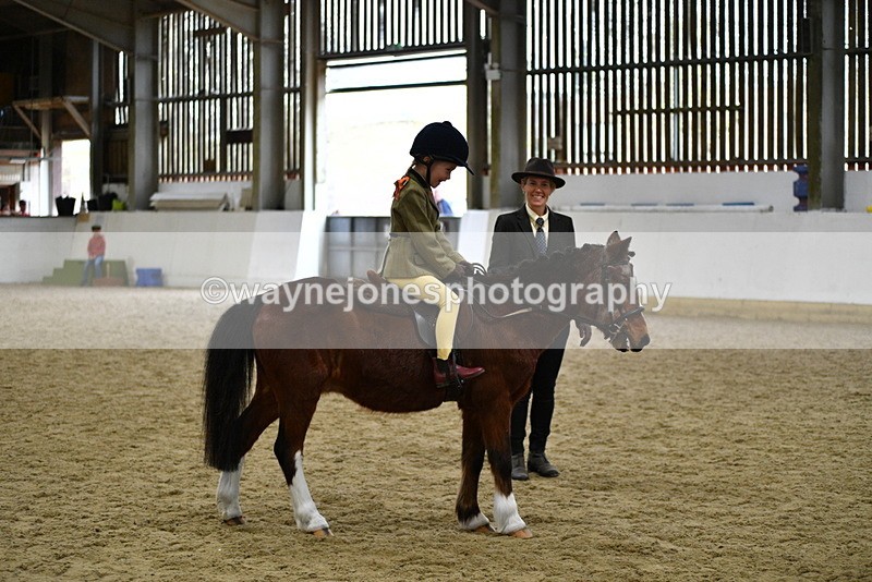 WJ5_7006 - Class 10 Childs Pony