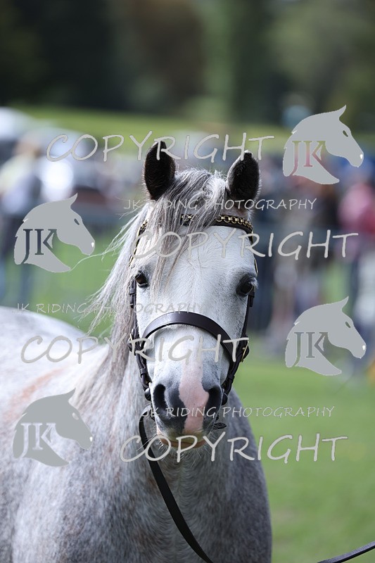 APP_2939 - Class 10a/b M&M in hand