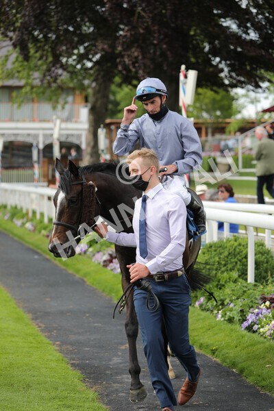 yr11062021r5-29 - Race 5 4.00pm Sky Bet Ganton Stakes