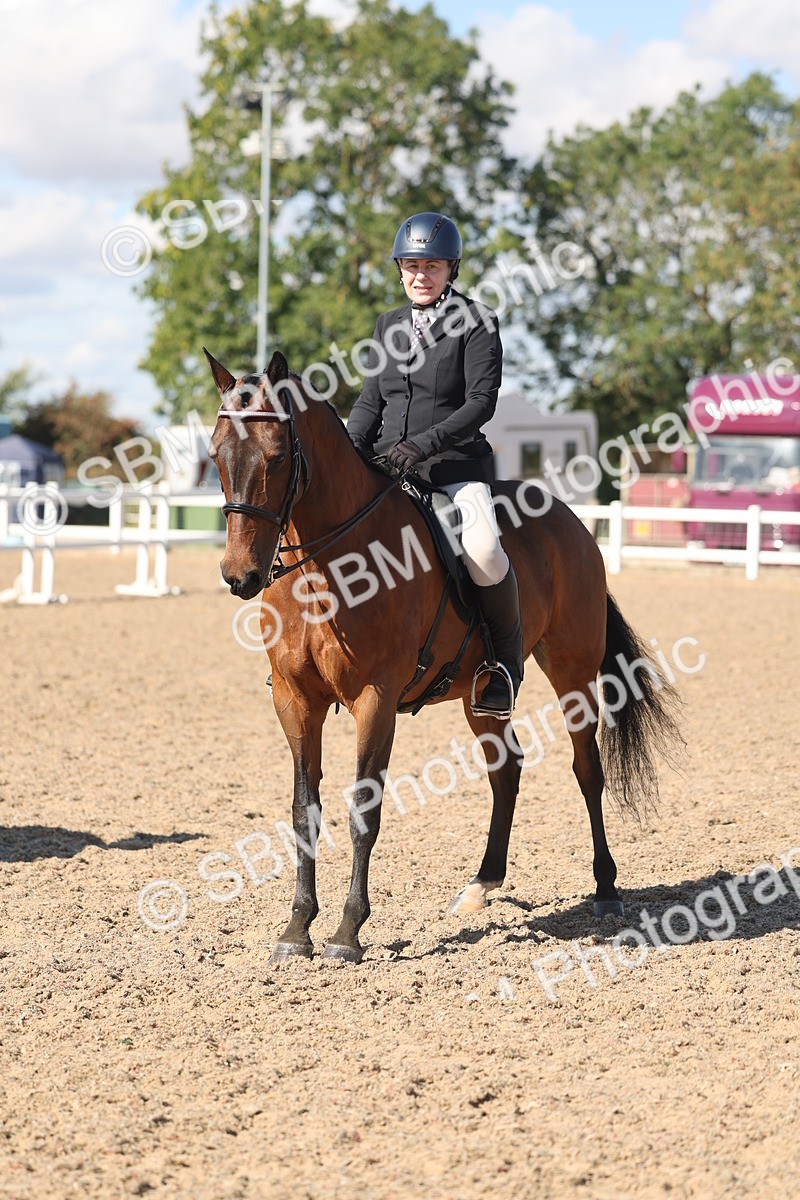 SBM_13121 - Class 305 - Ridden Foreign Breed Pure Bred