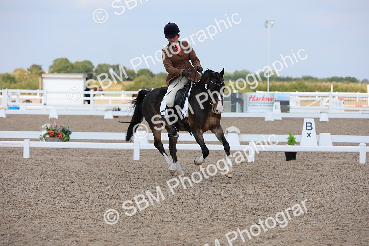 SBM_07528 - Class 33 Elementary 1