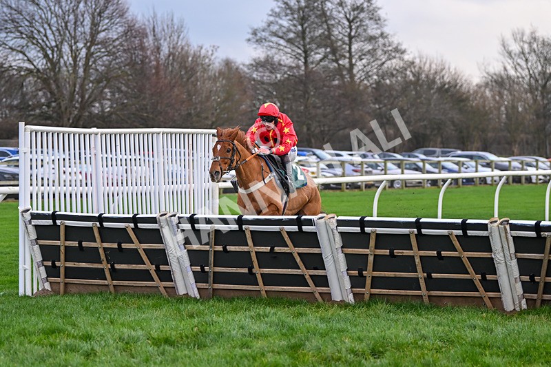 171224-Race 4-Wise Eagle-3310 - Race 4