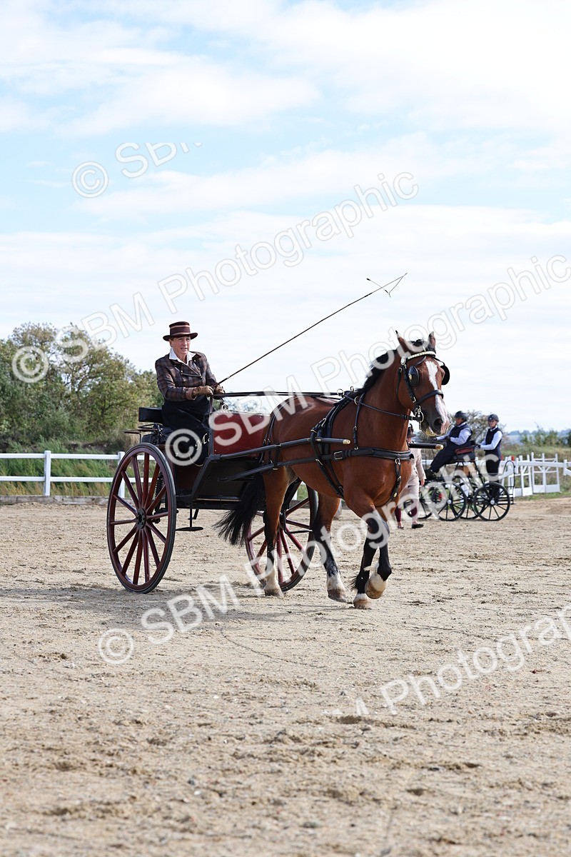 SBM_000910 - Class 8 - Novice Horse or Pony to any vehicle