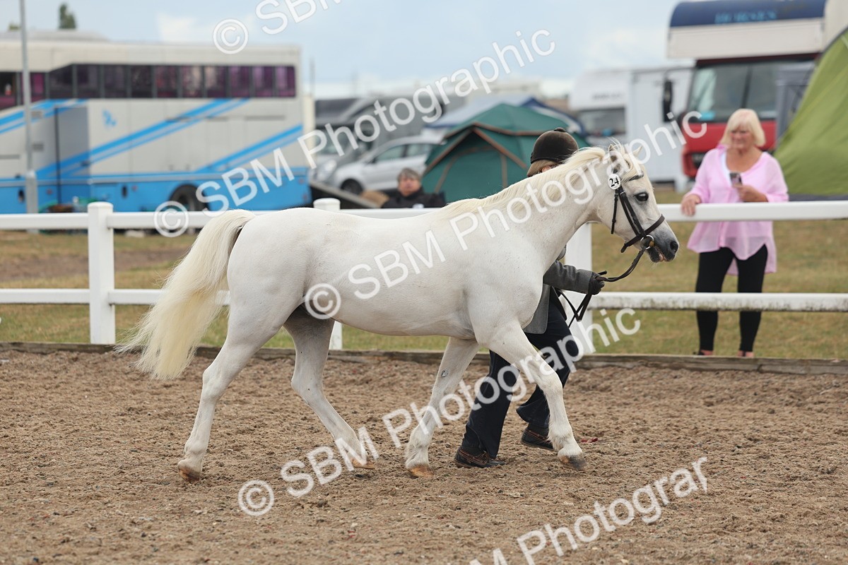SBM_08494 - Class 29 - IH Veteran Pony