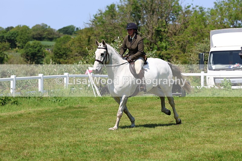 3E7A8098 - Working Hunter Championship