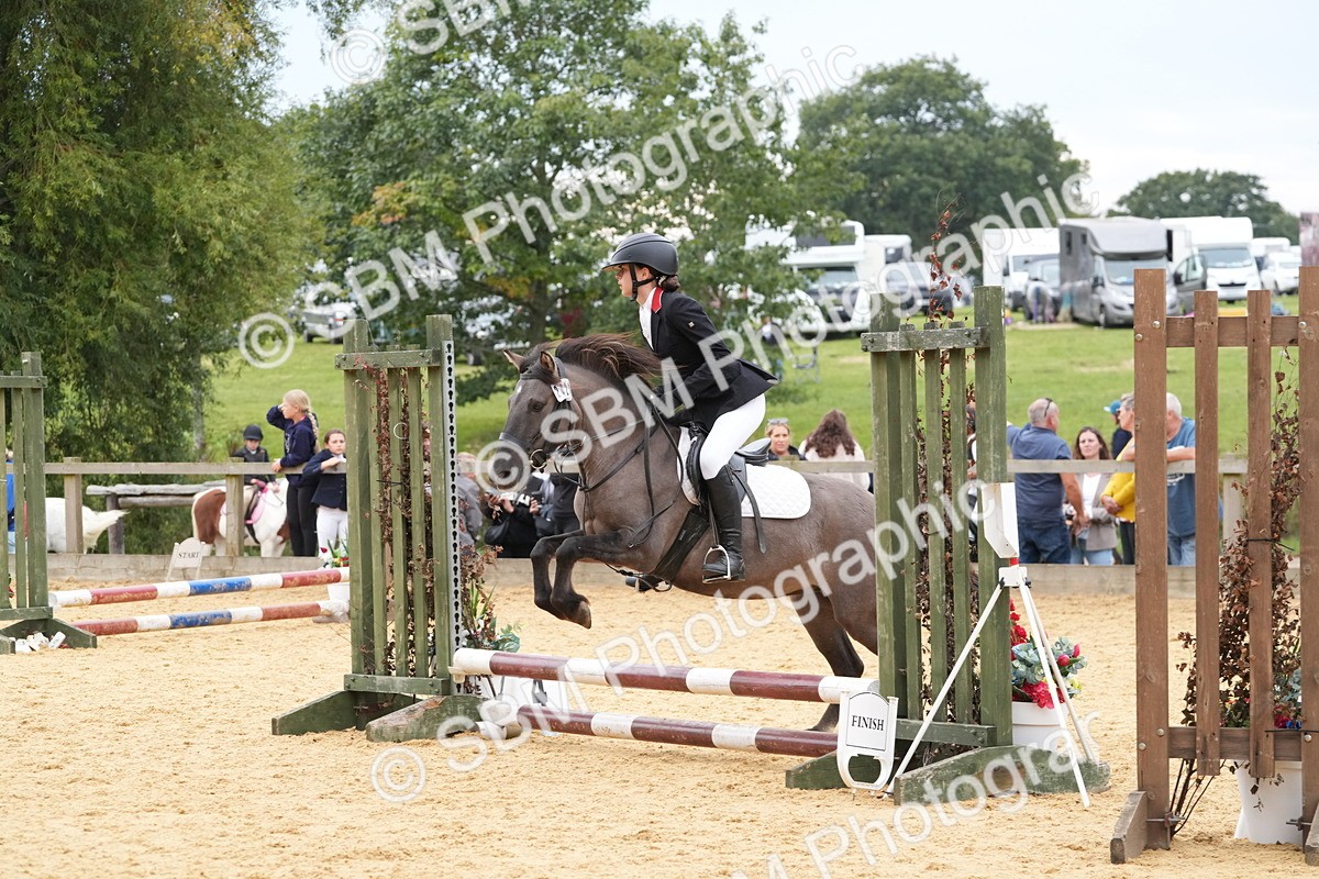 SBM_71742 - J3 - Mini Tour Junior Pony 40cm Championship