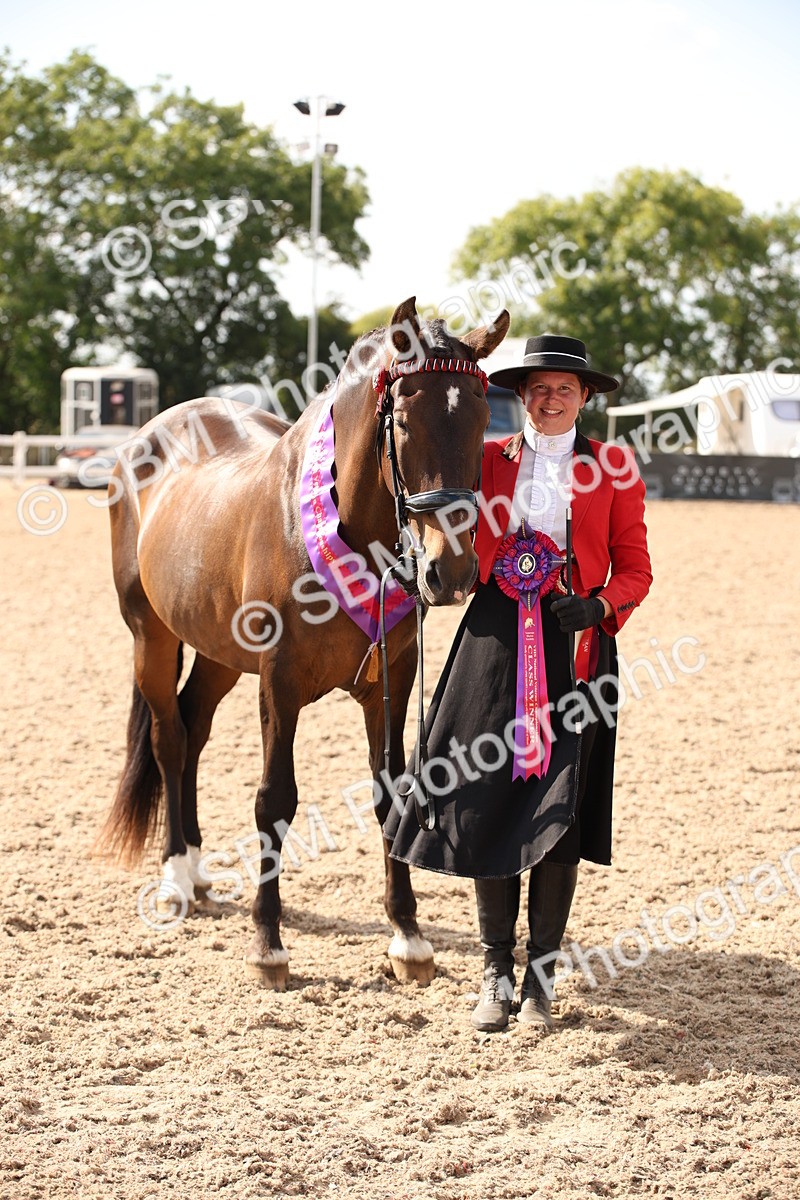 SBM_07436 - Class 26 IH Foreign Breeds -Part bred